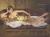 浜崎あゆみエロ画像160枚 伝説的歌姫のセミヌードや胸チラ・パンチラハプニング・お宝水着グラビア集めてみた073