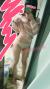 制服抜いだ現役JKのマシュマロおっぱいにチポ挟みたい007