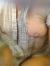 【裏垢】ツイッターでエロいおっぱい自撮り画像を上げまくっているビッチ発見！！032