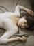 岩﨑名美エロ画像100枚 美脚巨乳美女の水着おっぱいやセクシーグラビア集めてみた092