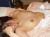 おっぱいが控えめな貧乳エロ画像part3025